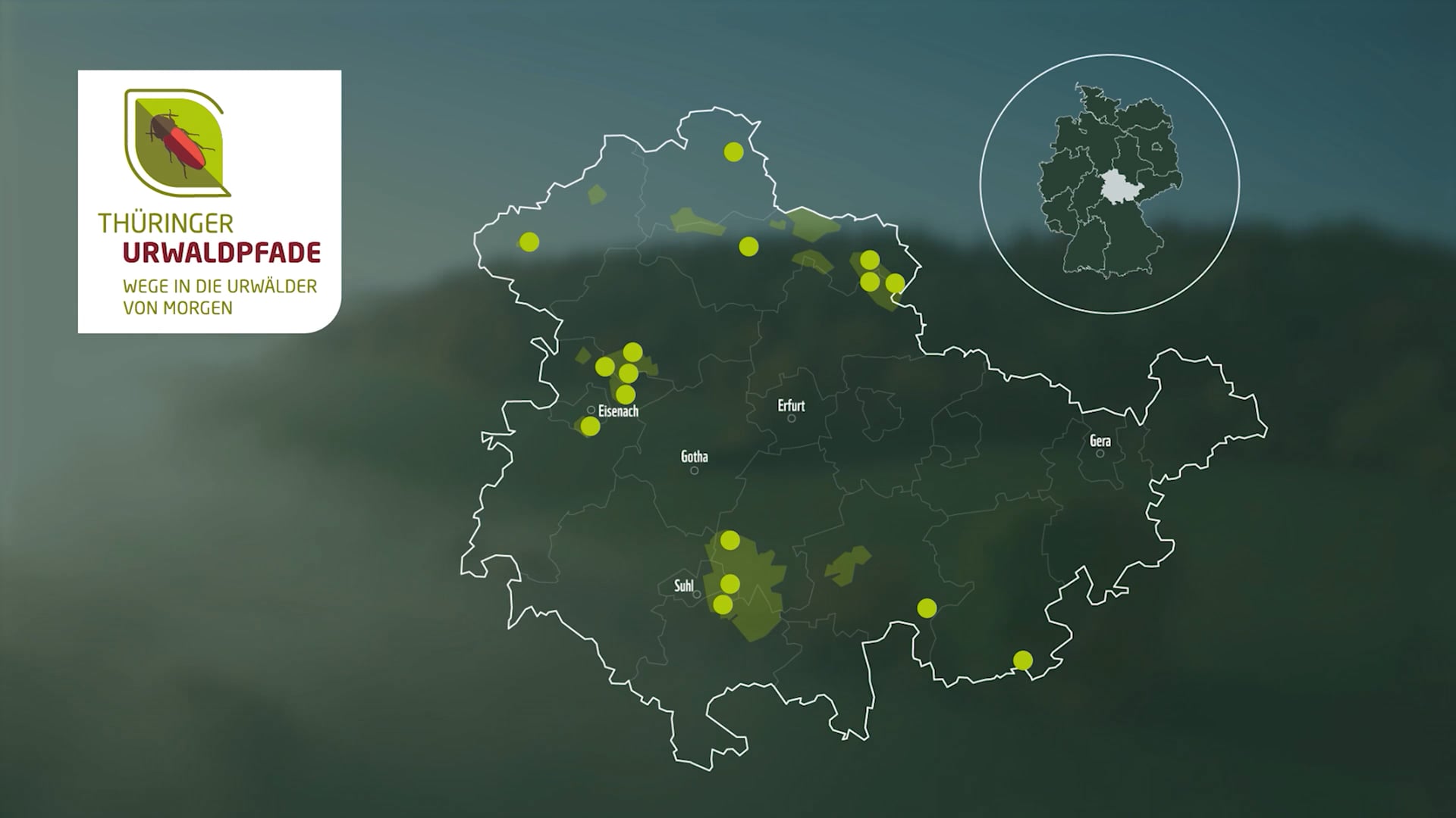 WWF - Thüringer Urwaldpfade – Dokumentation ansehen